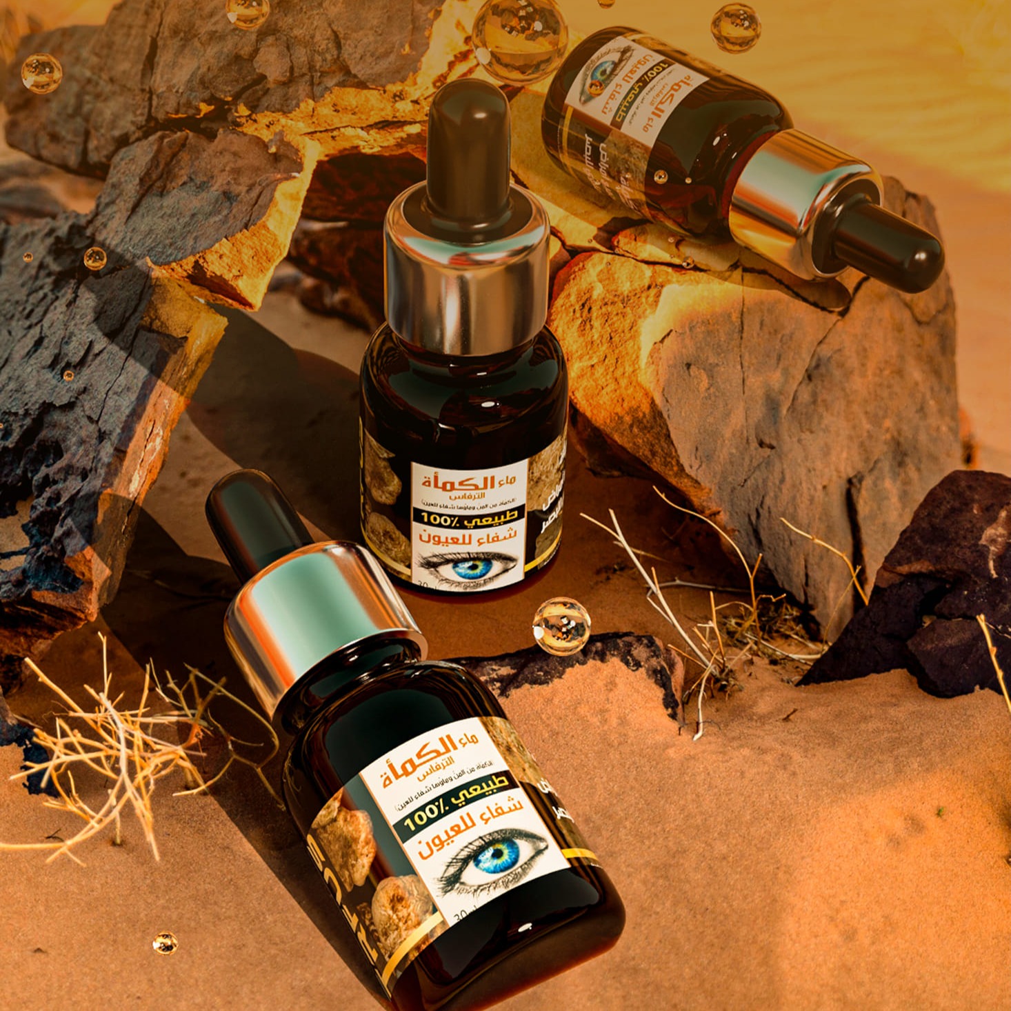 473710215_624055293483163_1026160141369646747_n