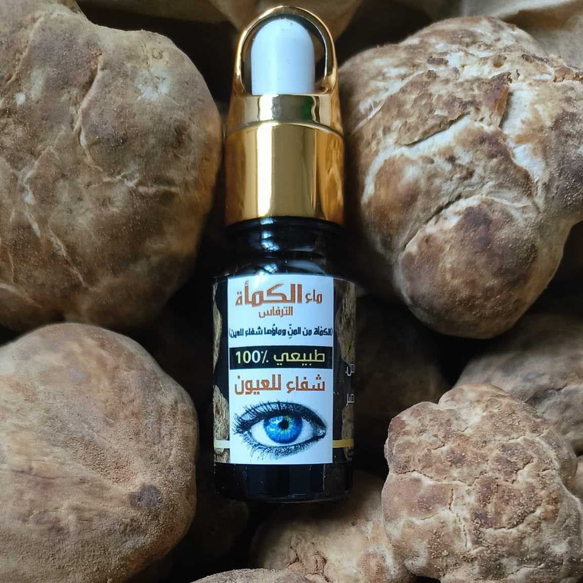 473825822_624074160147943_4874235057985267581_n